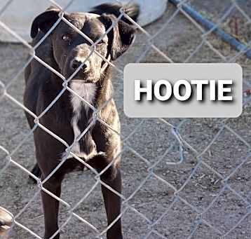Photo of Hootie