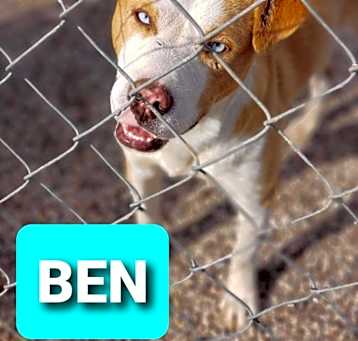 Photo of Ben