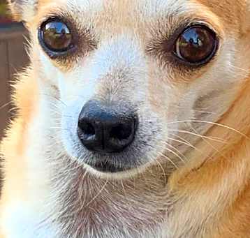 Photo of Teeny