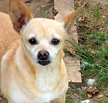 Photo of Tiny