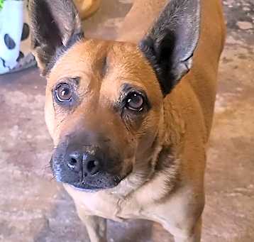 Photo of Shirley