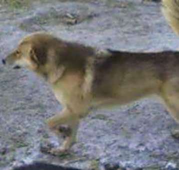 Photo of Wiley