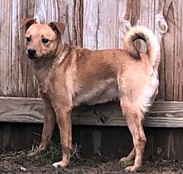 Photo of Apollo