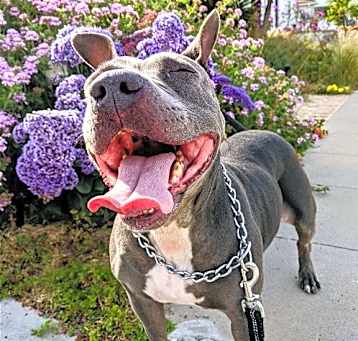 Photo of Keisy