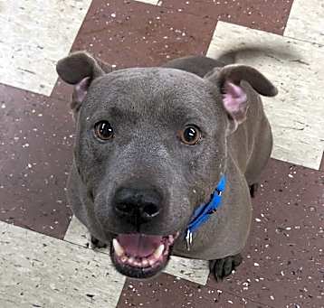 Photo of Tito
