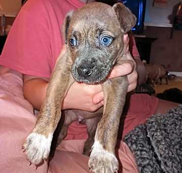 Photo of Oakley