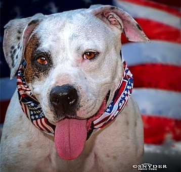 Photo of Dottie
