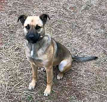 Photo of Sugar