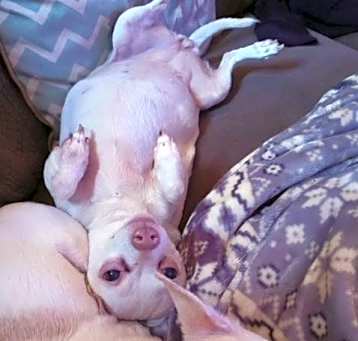 Photo of Millie