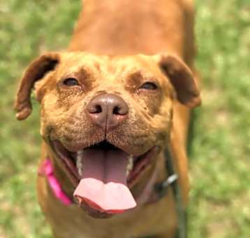 Photo of Kali