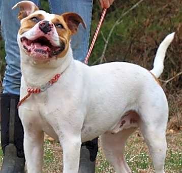 Photo of Tug
