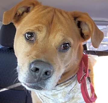 Photo of Marcie