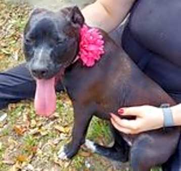 Photo of Xena