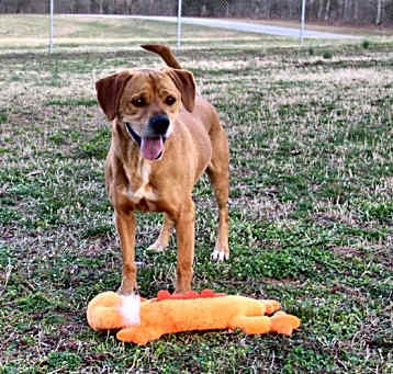 Photo of Oscar