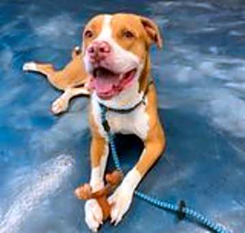 Photo of Cyrus