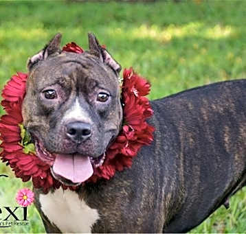 Photo of Lexi