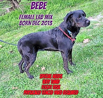 Photo of BeBe