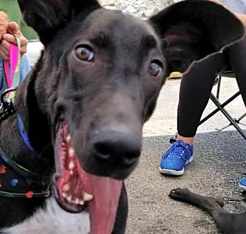 Photo of Jet