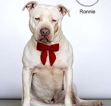Photo of Ronnie