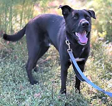Photo of Ernie