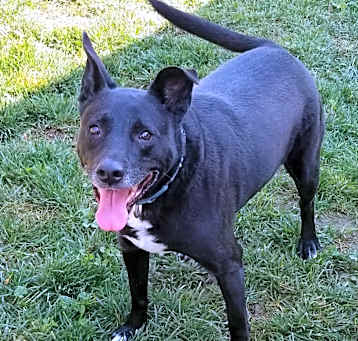 Photo of Linus