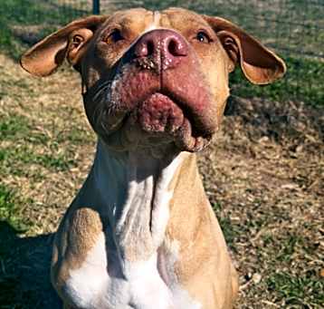 Photo of Lulu