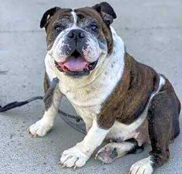 Photo of Gemma