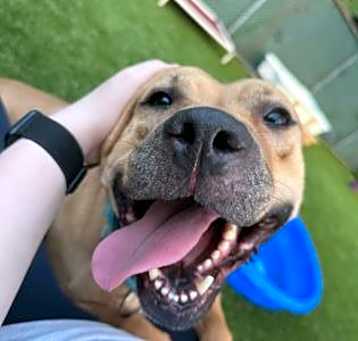 Photo of Wally