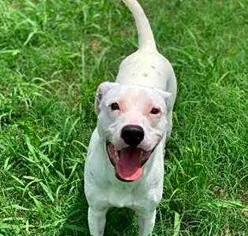 Photo of Buster