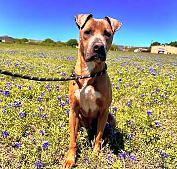 Photo of PETEY