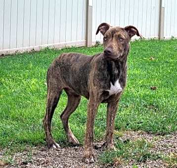 Photo of Gus