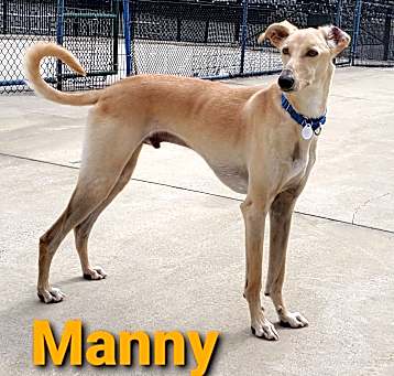 Photo of Manny