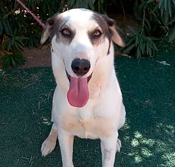 Photo of Zamara