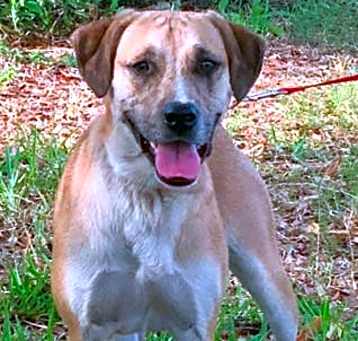 Photo of Sami
