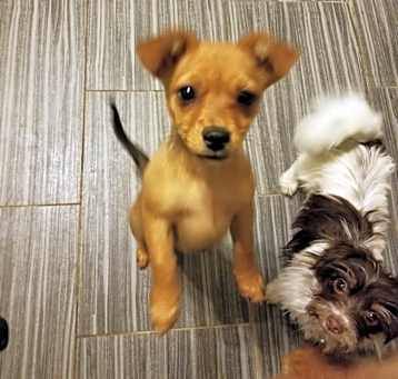 Photo of Tiny