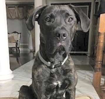 Photo of Max