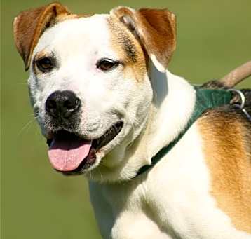 Photo of Barney