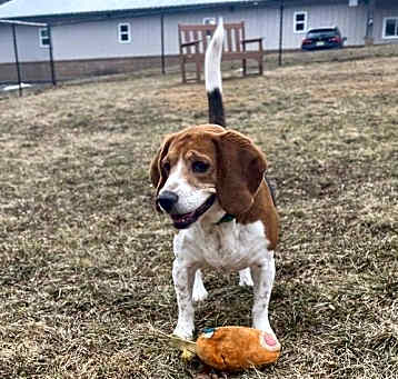 Photo of Cooper
