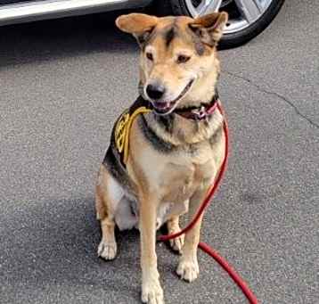 Photo of Rascal