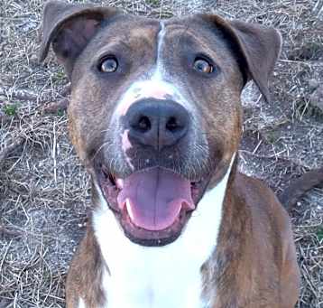 Photo of Xena