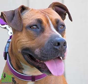 Photo of Xena Xulu