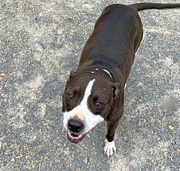 Photo of Lilly