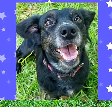 Photo of Bonnie