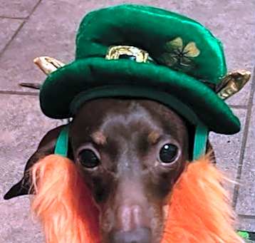 Photo of Reecie