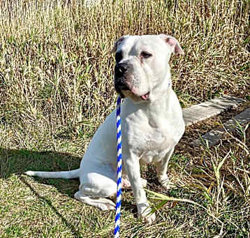 Photo of Billy