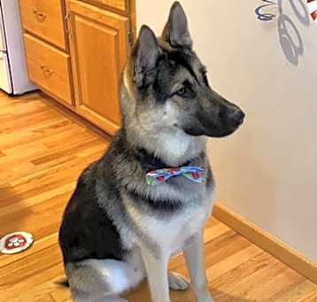 Photo of Chase