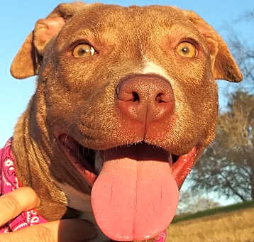 Photo of Ally, what a darling girl!!!