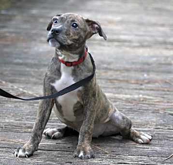 Photo of Tiny