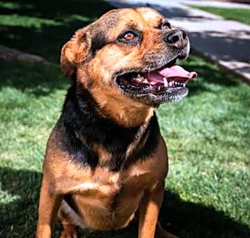 Photo of Baby Girl