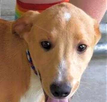 Photo of Tucker
